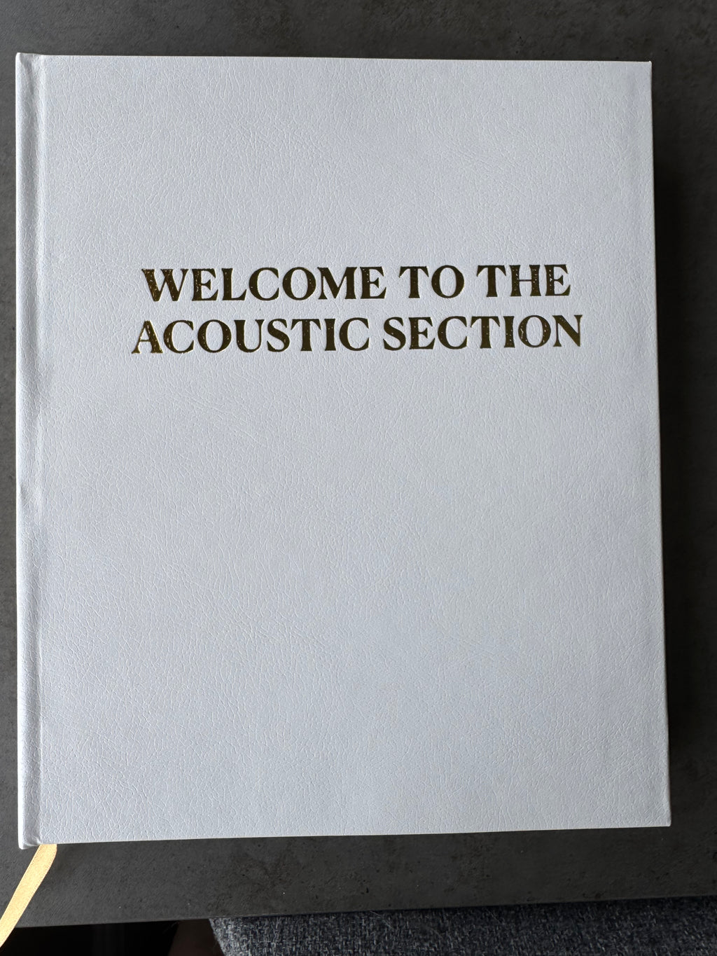 Welcome to The Acoustic Section (Imperfect Copy 1)