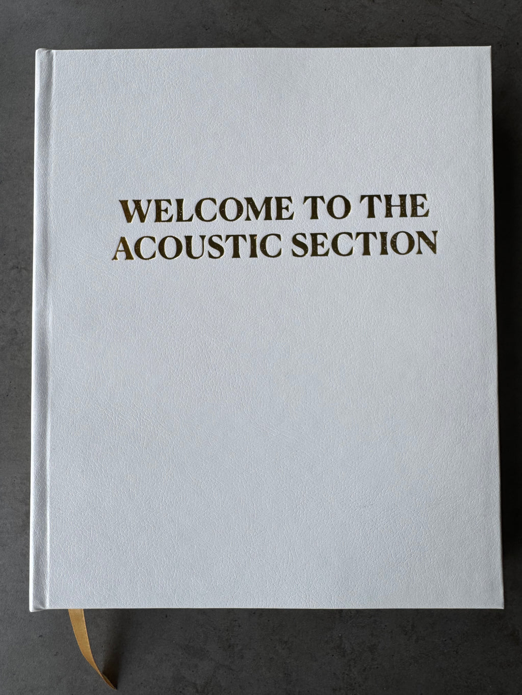 Welcome to The Acoustic Section (Imperfect Copy 4)