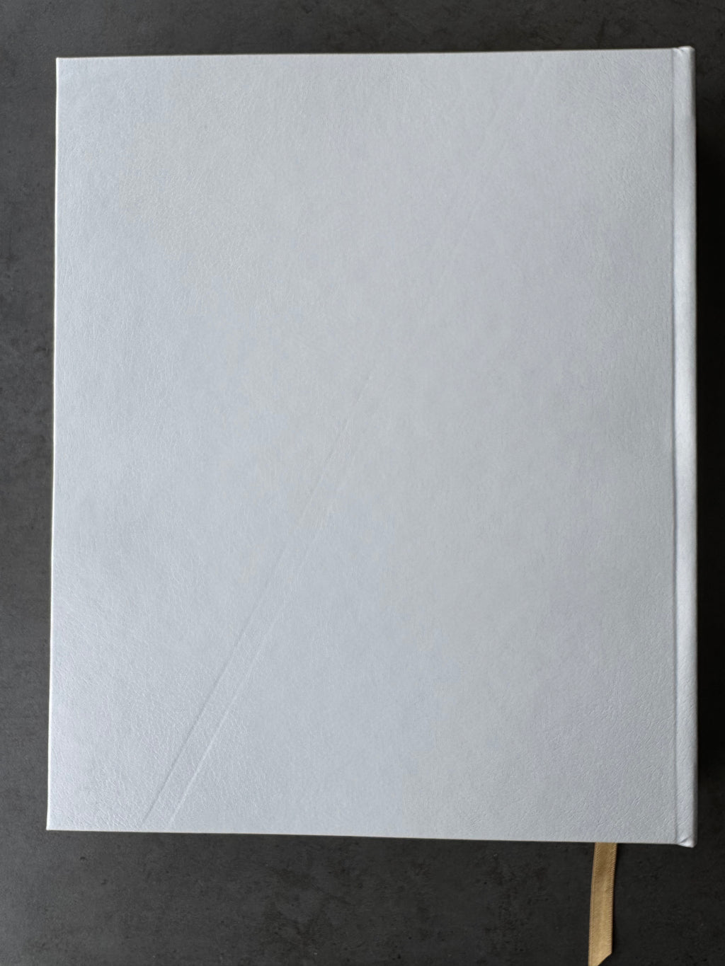 Welcome to The Acoustic Section (Imperfect Copy 4)