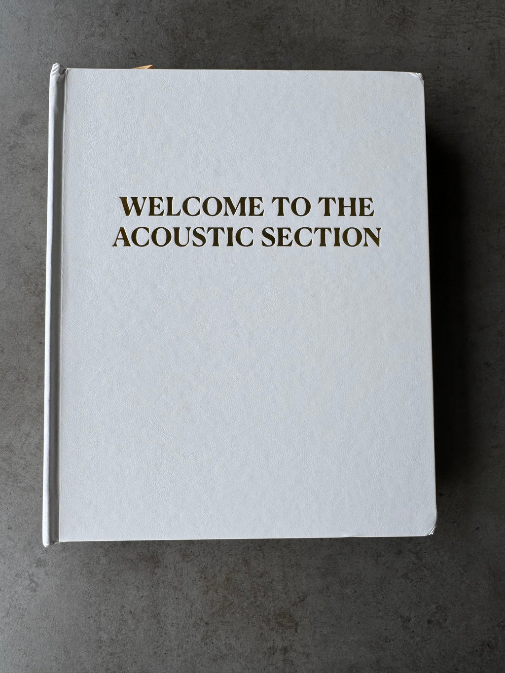 Welcome to The Acoustic Section (Imperfect Copy 5)